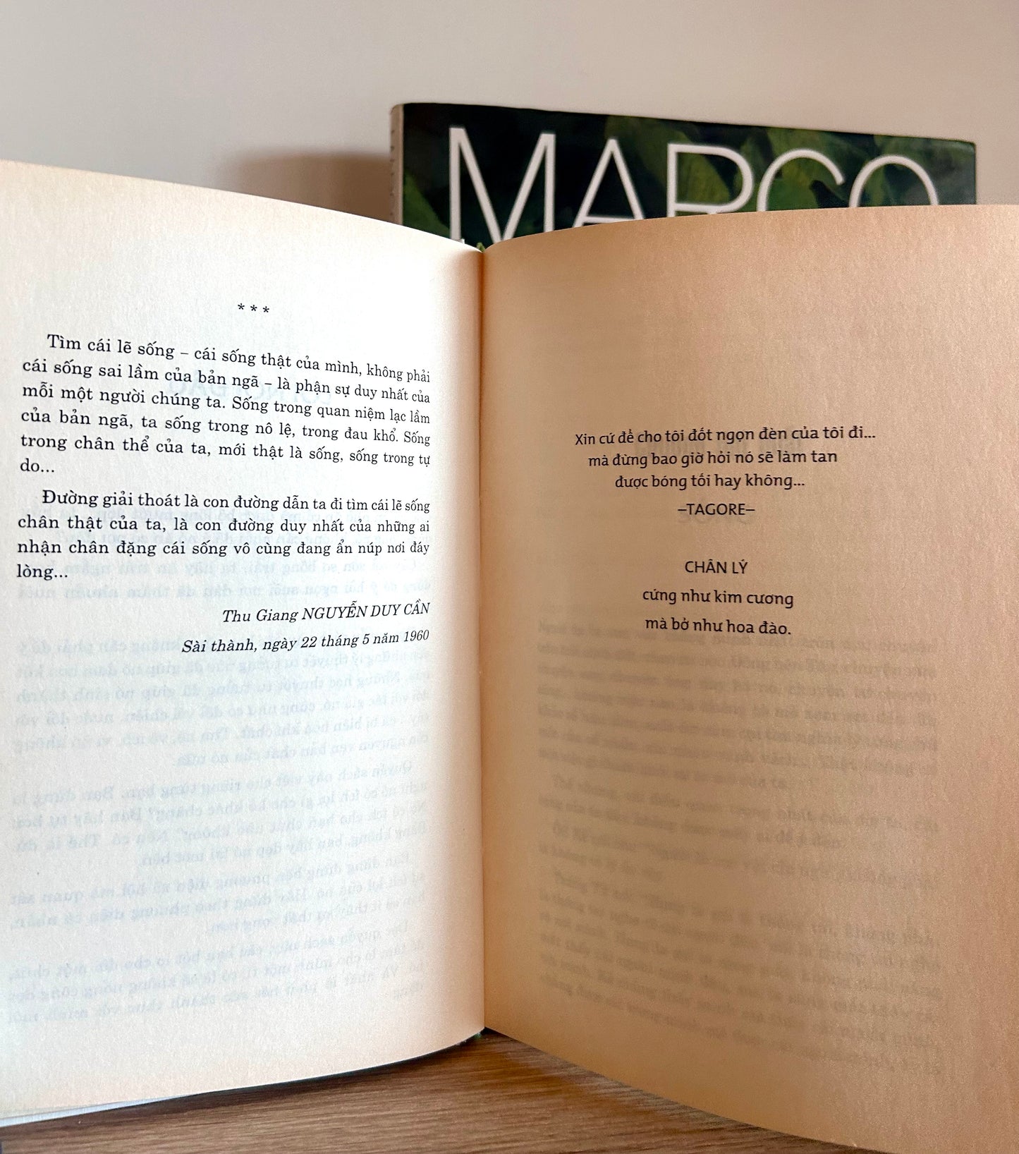 Một Nghệ Thuật Sống - Nhập Môn Triết Học Đông Phương - Tinh Hoa Đạo Học Đông Phương - Cái Cười Của Thánh Nhân (pre-loved)