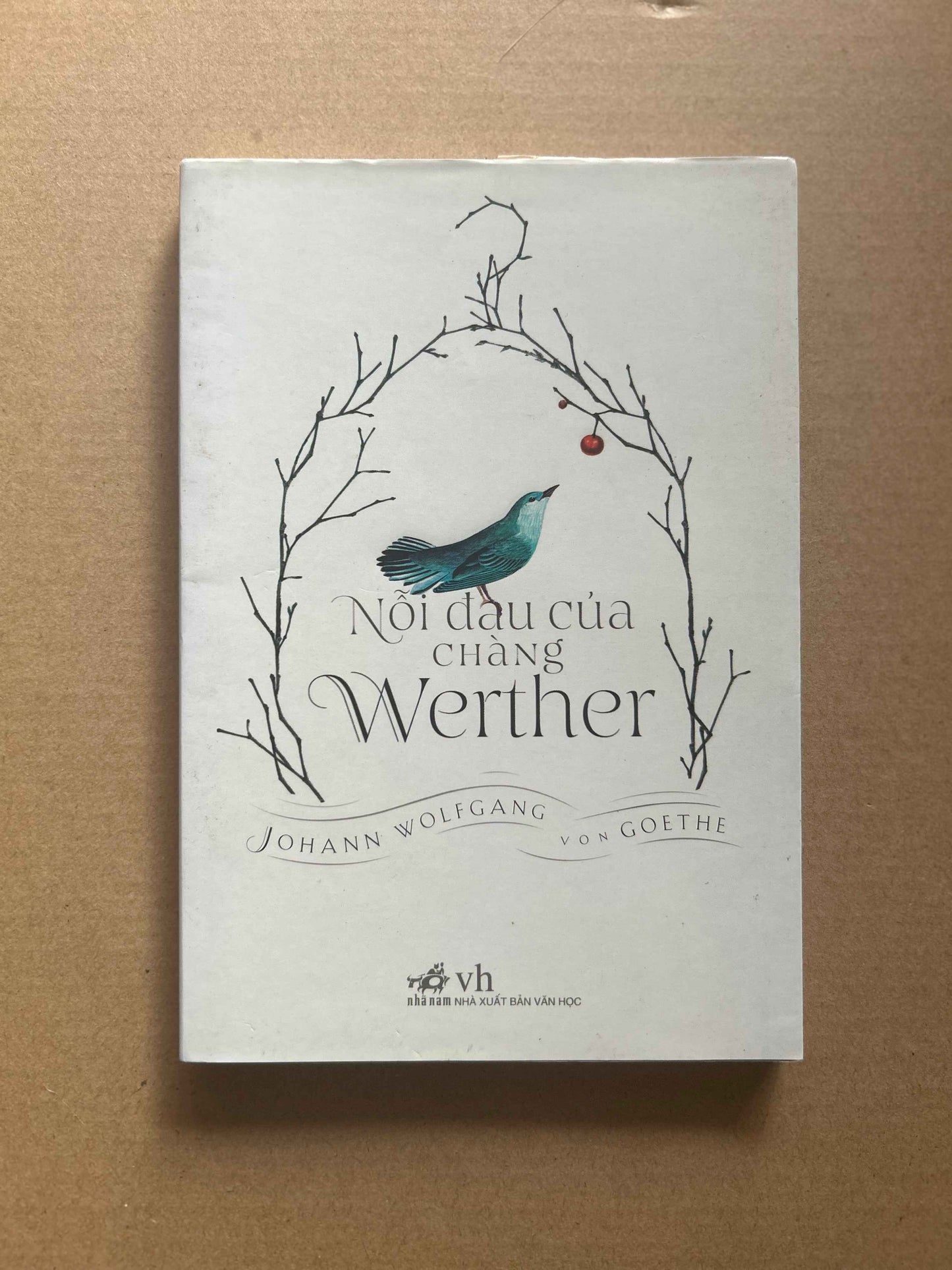 Nỗi Đau Của Chàng Werther (pre-loved)