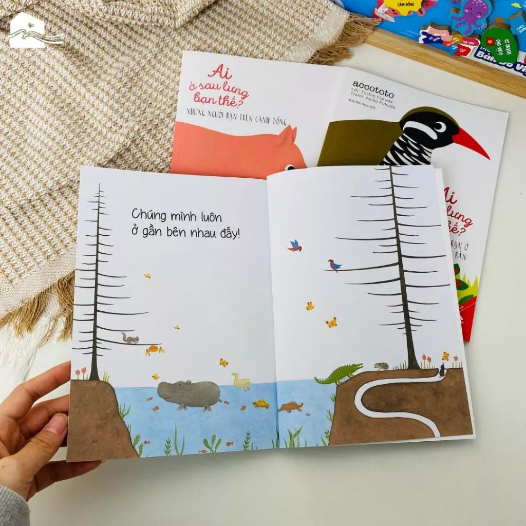 Combo 6Q Ehon: Ai Ở Sau Lưng Bạn Thế