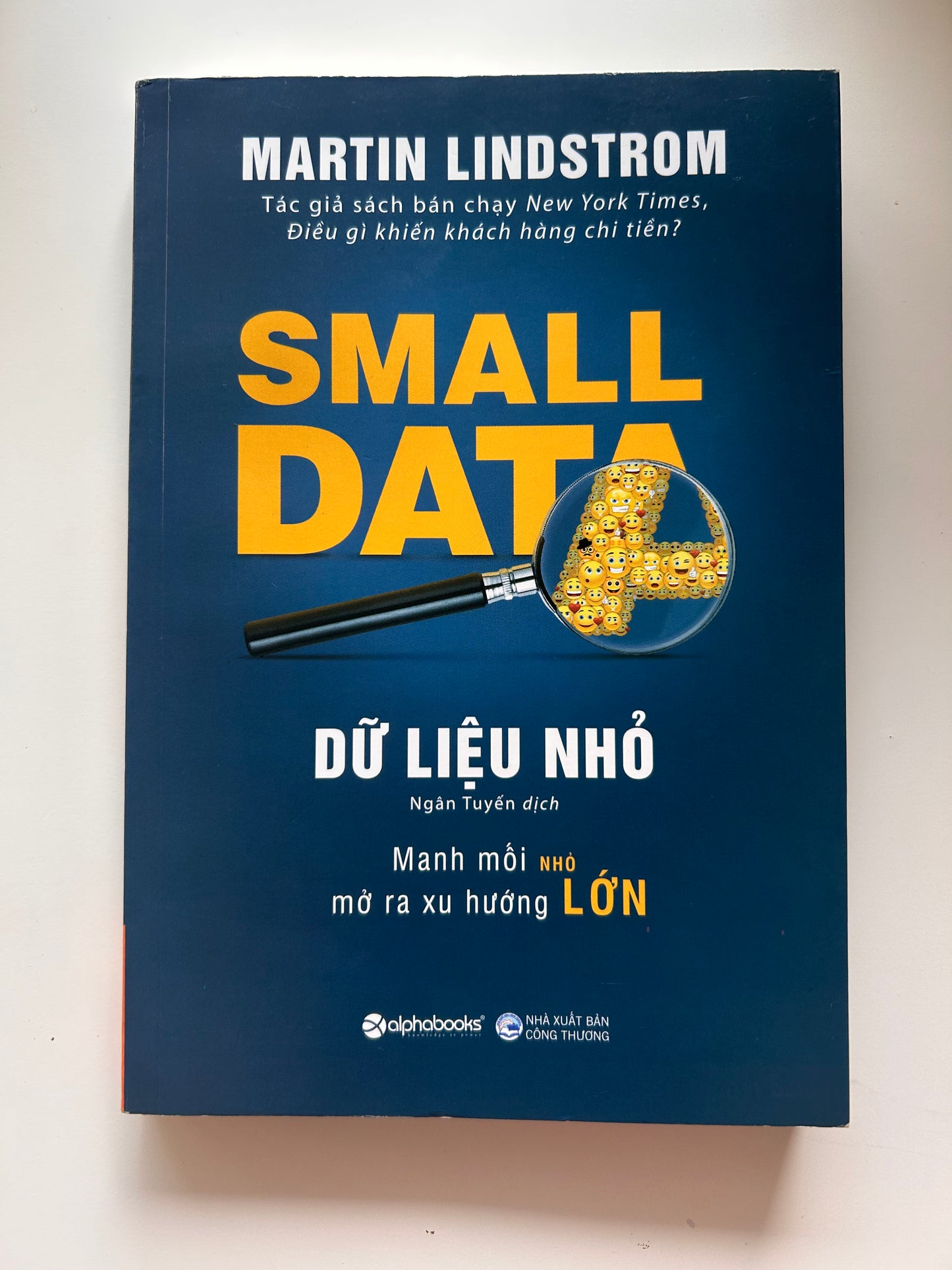 Dữ Liệu Nhỏ - Small Data (pre-loved)