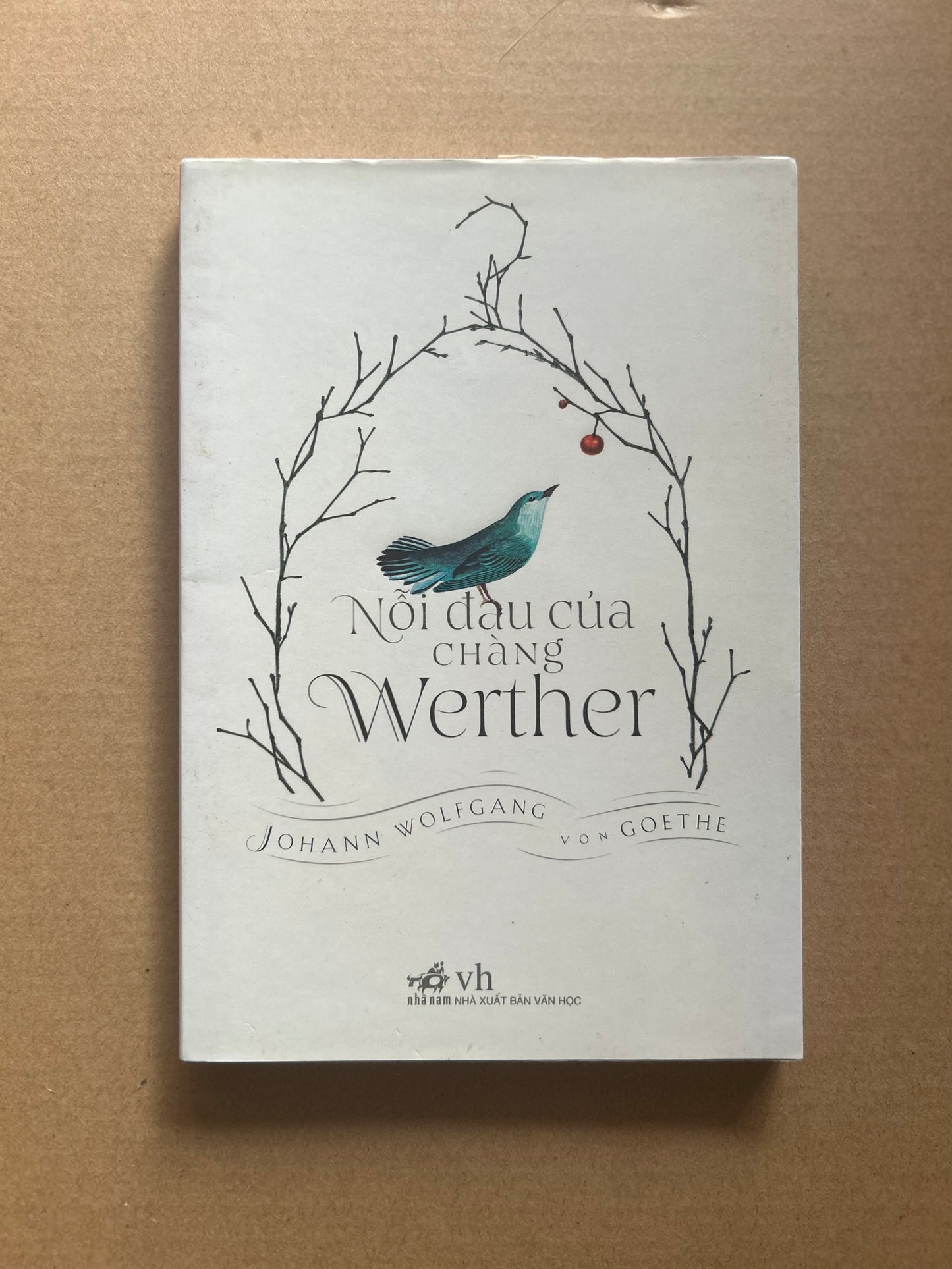 Nỗi Đau Của Chàng Werther (pre-loved)