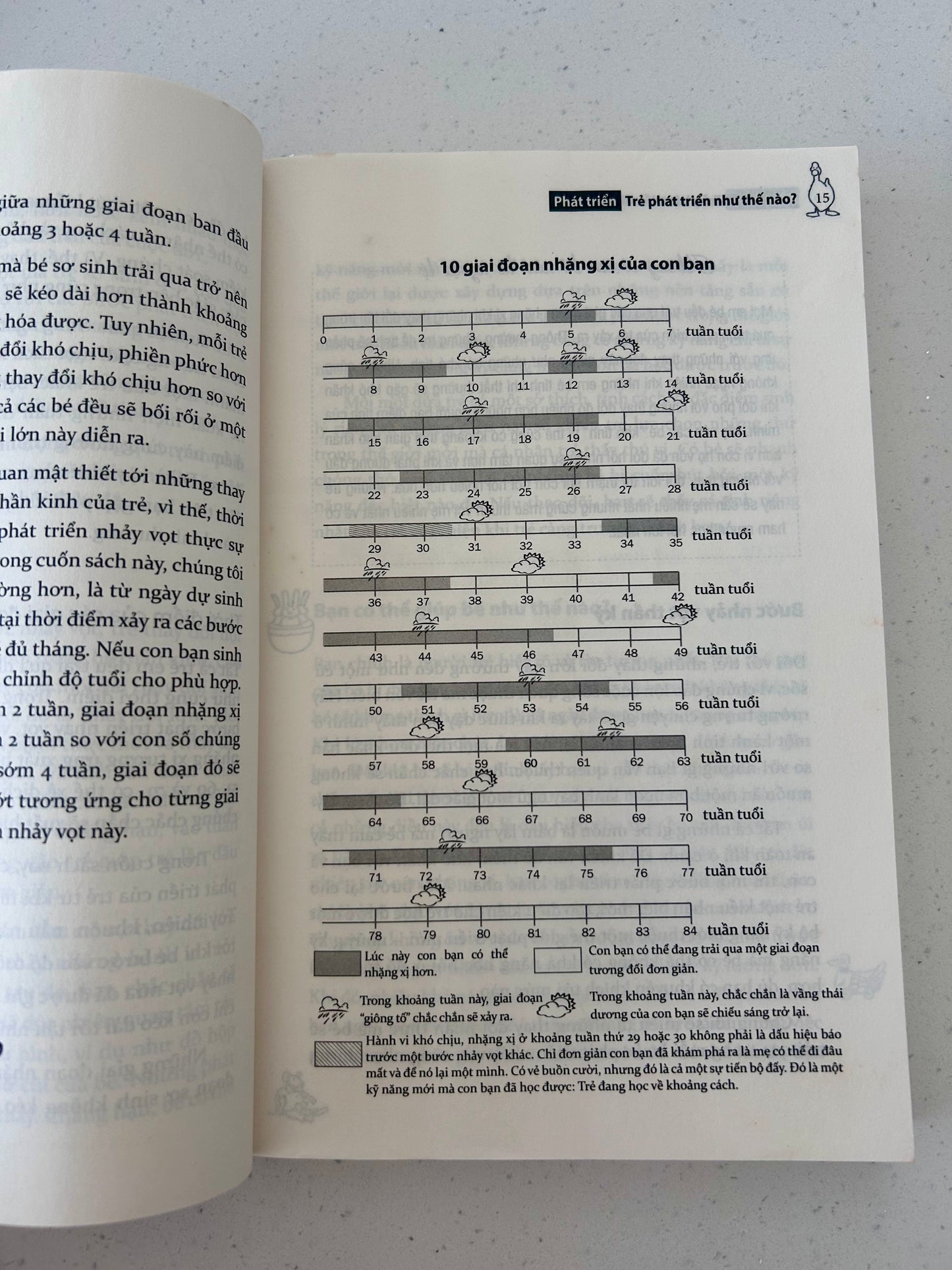 Tuần Khủng Hoảng - The Wonder Weeks - Các Tuần Phát Triển Quan Trọng Nhất Trong 20 Tháng Đầu Đời Của Trẻ (pre-loved)