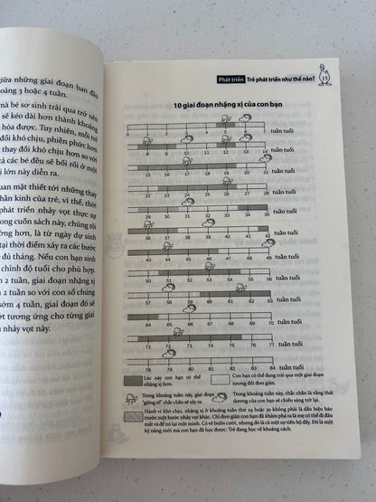 Tuần Khủng Hoảng - The Wonder Weeks - Các Tuần Phát Triển Quan Trọng Nhất Trong 20 Tháng Đầu Đời Của Trẻ (pre-loved)