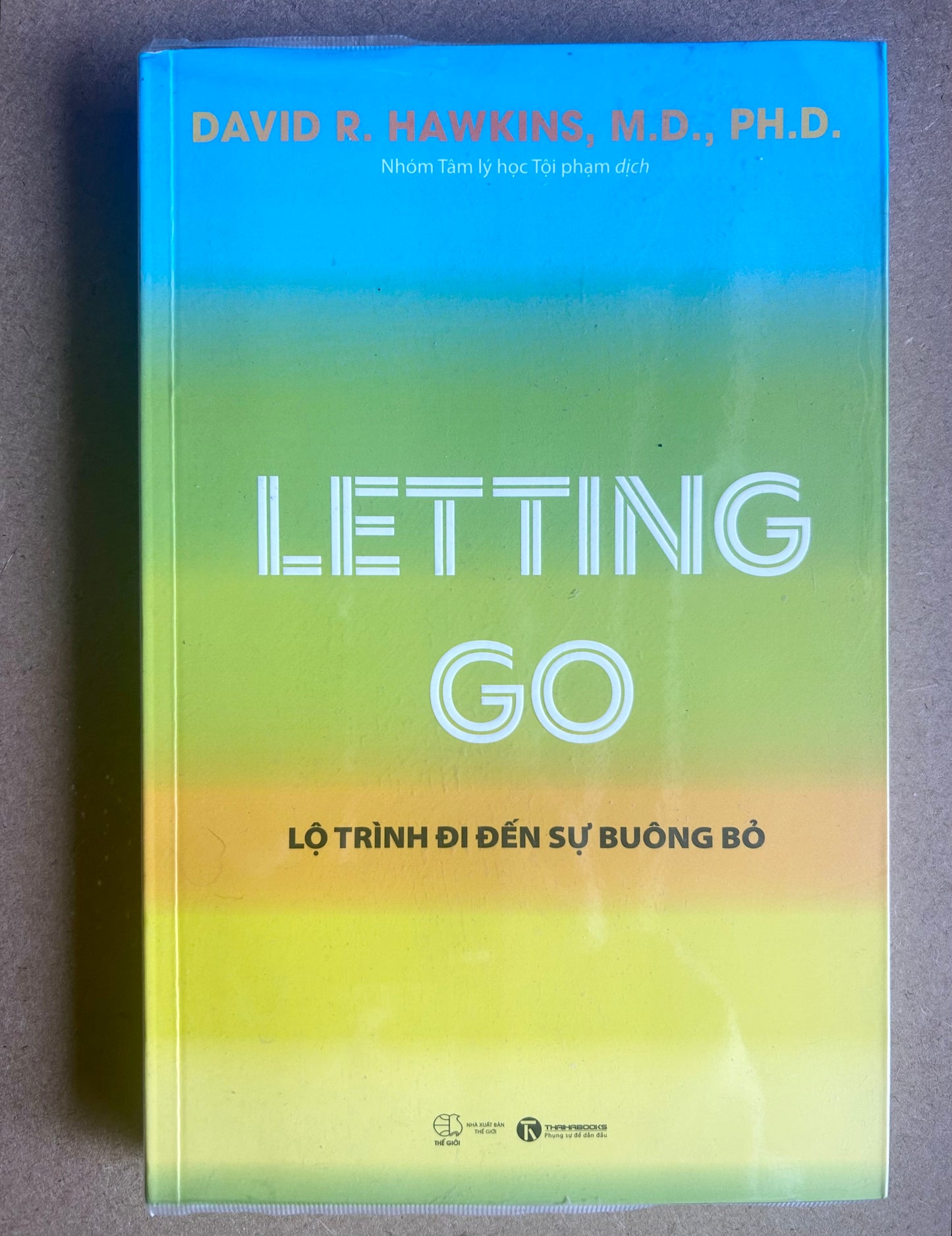 Letting Go - Lộ Trình Đi Đến Sự Buông Bỏ (pre-loved)