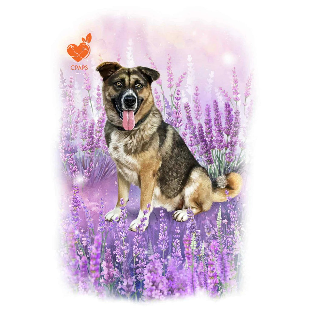 [Pre-order] Lịch 2026 Gây Quỹ Cứu Hộ Chó Mèo Việt Nam