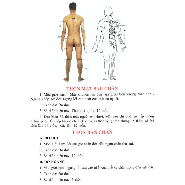 [Pre-order] Học Châm Cứu Bằng Hình Ảnh