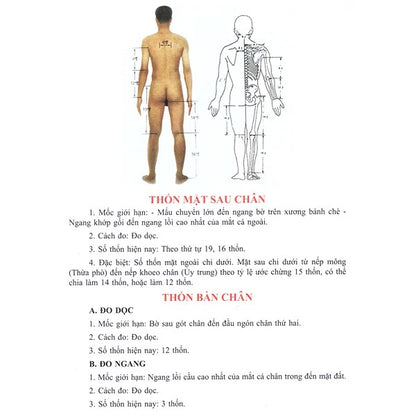 [Pre-order] Học Châm Cứu Bằng Hình Ảnh