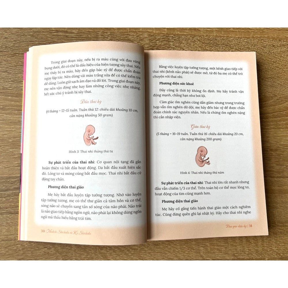 [Pre-order] Thai Giáo Diệu Kỳ - Kích hoạt khả năng tiềm tàng của não phải theo phương pháp giáo dục Shichida