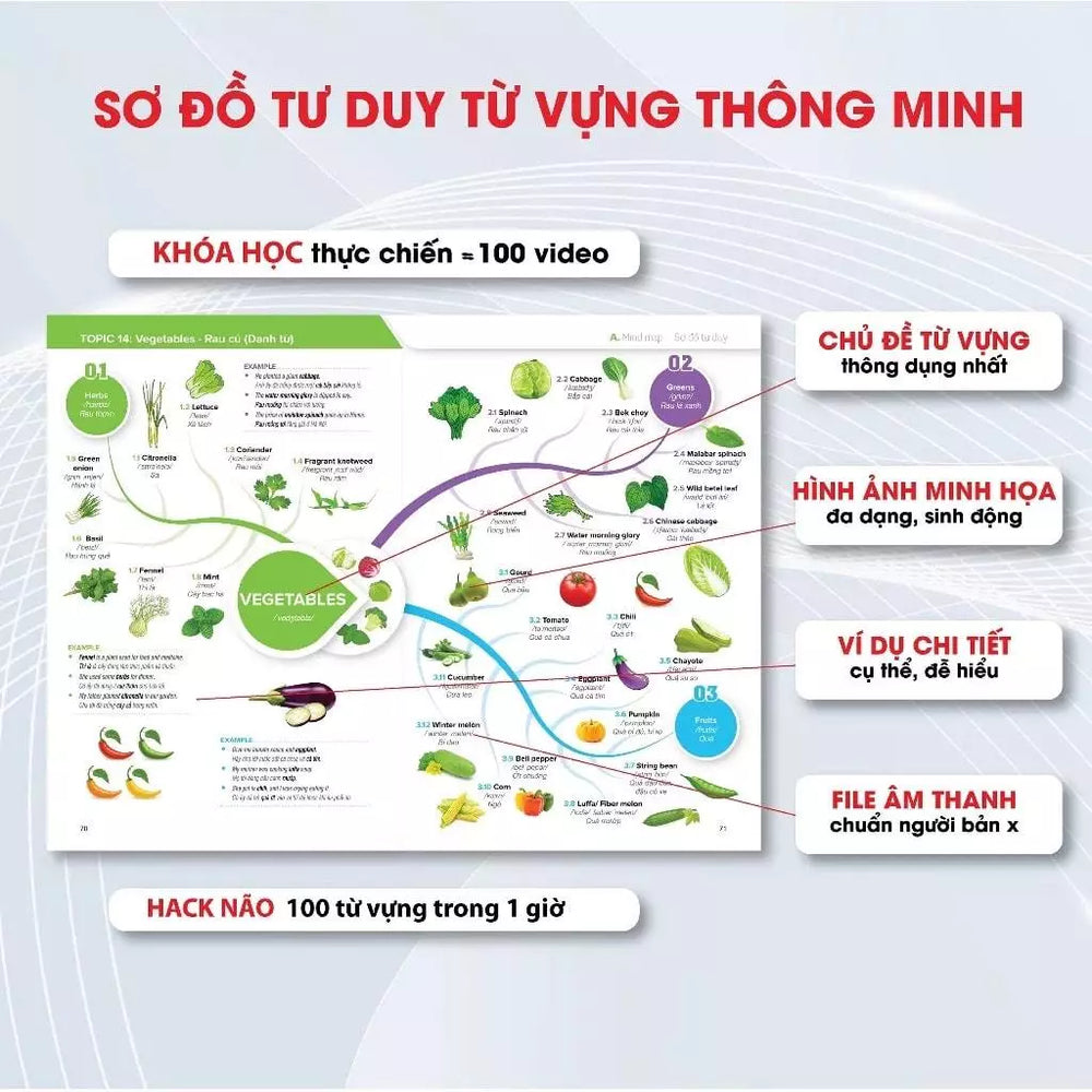[Pre-order] MINDMAP HACK 3000 Từ Vựng Tiếng Anh, sơ đồ tư duy học từ vựng dễ nhớ