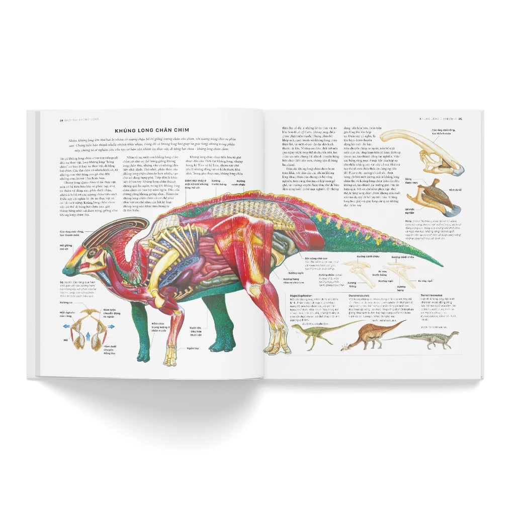 [Pre-order] Bách Khoa Khủng Long Toàn Tập (Bìa cứng)