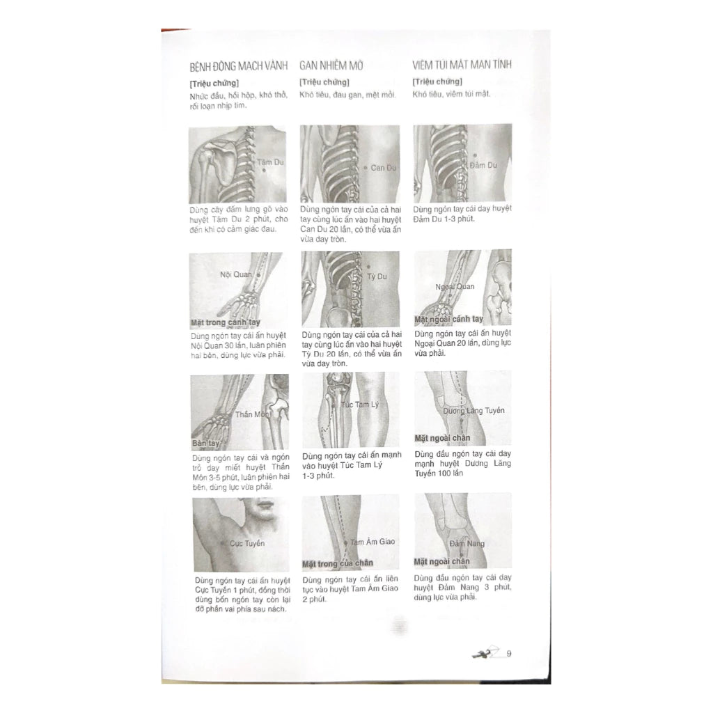 [Pre-order] Massage Kinh Lạc Huyệt Vị Toàn Thư