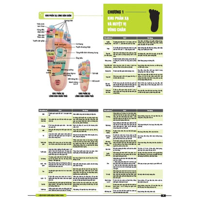 [Pre-order] Liệu pháp chữa bệnh toàn thân - Khu phản xạ