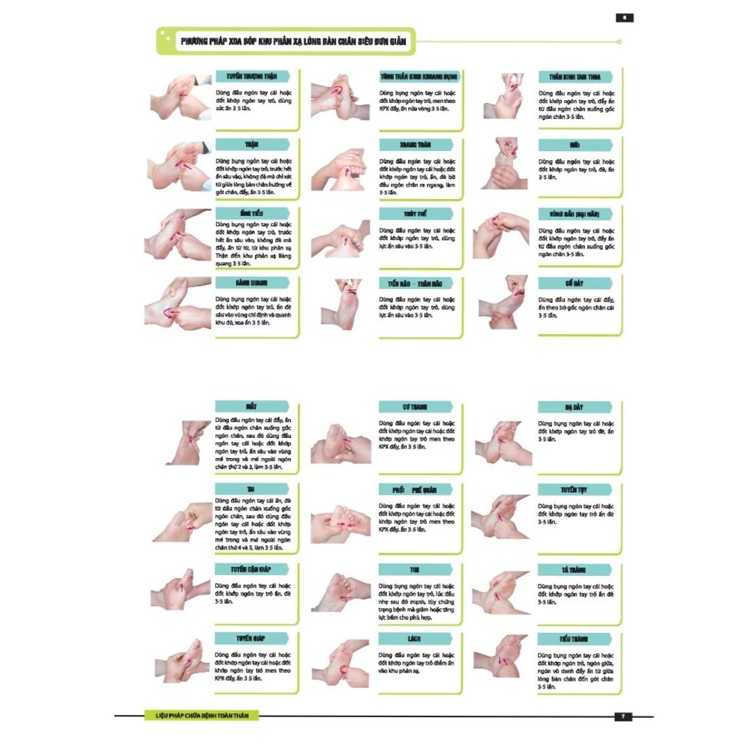 [Pre-order] Liệu pháp chữa bệnh toàn thân - Khu phản xạ