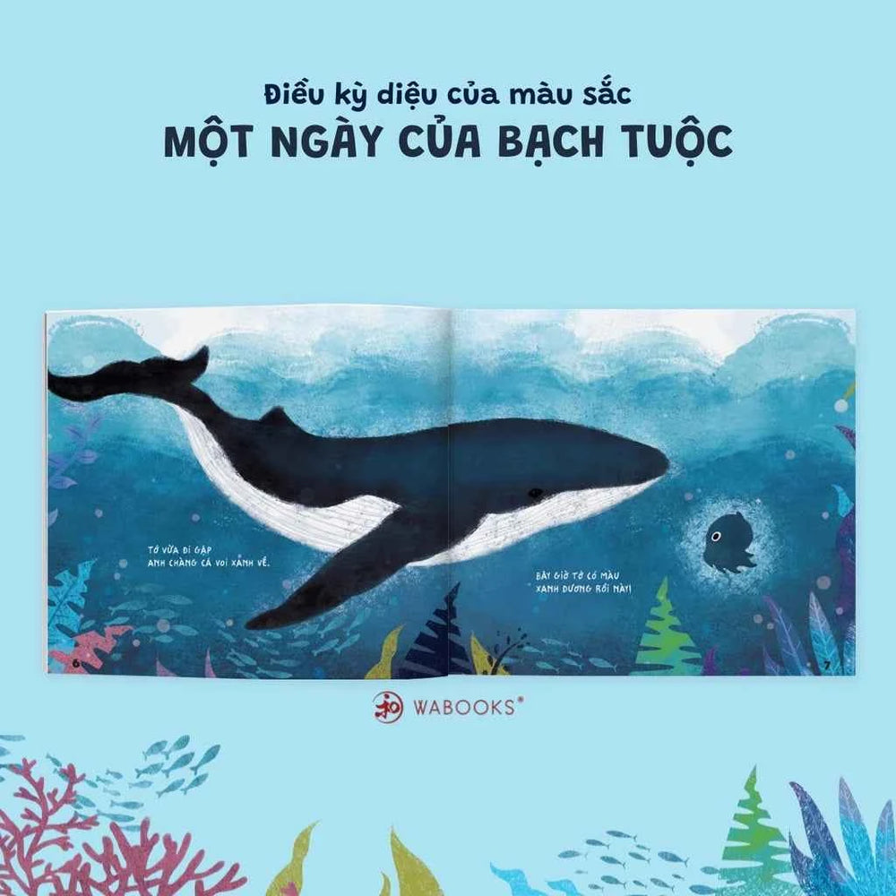 [Pre-order] Combo 4Q Ehon Điều Kỳ Diệu Của Màu Sắc (Bé 0-6 Tuổi)