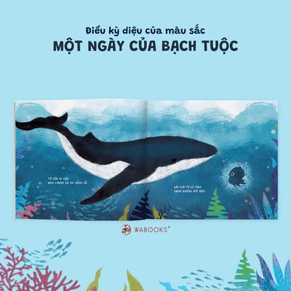 [Pre-order] Combo 4Q Ehon Điều Kỳ Diệu Của Màu Sắc (Bé 0-6 Tuổi)