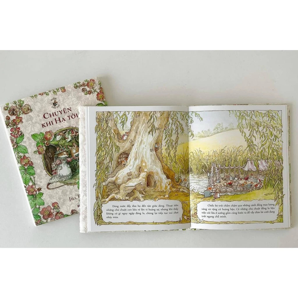 [Pre-order] Bộ sách Miền Dâu Dại (Bộ 4 cuốn)