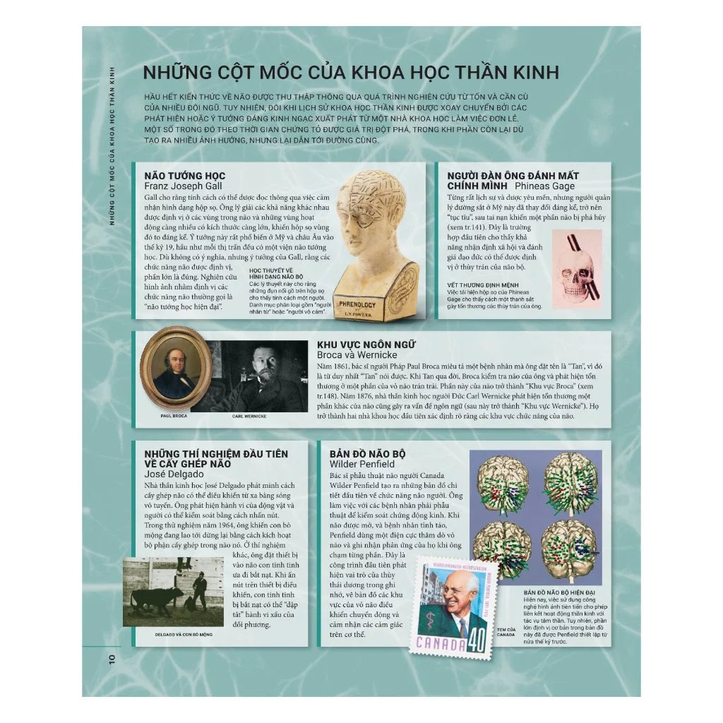 [Pre-order] Não Chúng Ta Có Gì Và Làm Gì? (Sách Màu - Bìa Cứng)