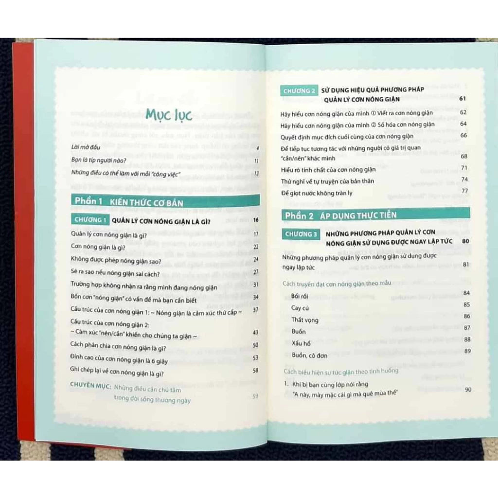 [Pre-order] Giúp Trẻ Xử Lý Cơn Cáu Giận