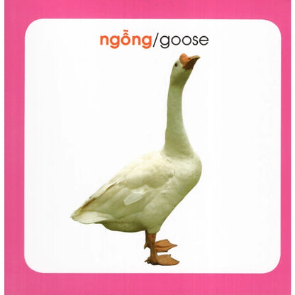 [Pre-order] Từ Điển Song Ngữ Hình Ảnh Đầu Đời Cho Bé (0-3 tuổi)