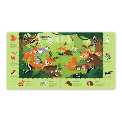 [Pre-order] Combo 4Q Tìm Kiếm Thông Minh - Phát Triển Khả Năng Tập Trung Cho Bé (sách tương tác song ngữ Anh Việt)