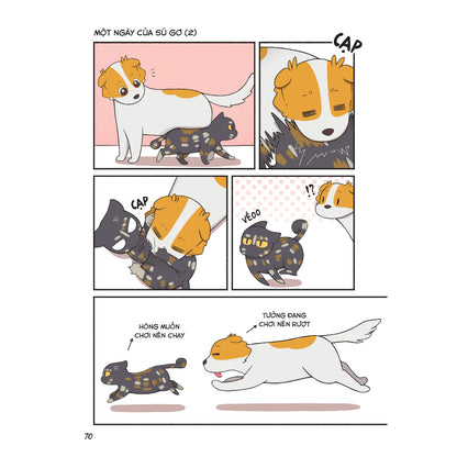 [Pre-order] Vitamin Mèo Và Những Câu Chuyện Bất Tận