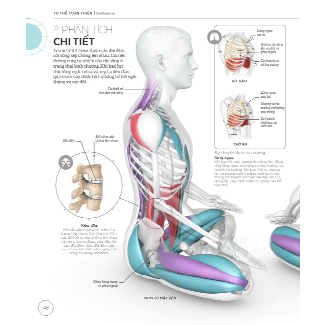 [Pre-order] Khoa Học Về Yoga (Bìa cứng)