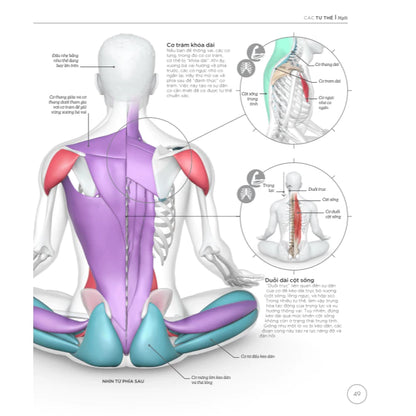 [Pre-order] Khoa Học Về Yoga (Bìa cứng)